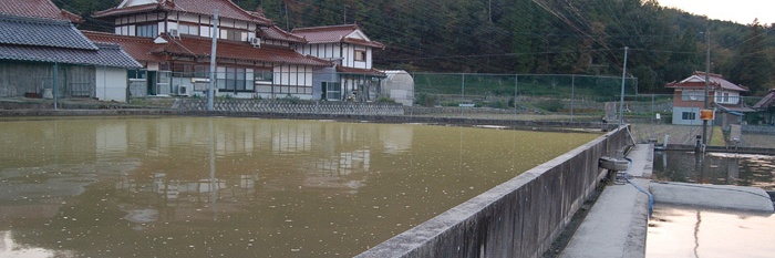 Sakai even in the Picture
