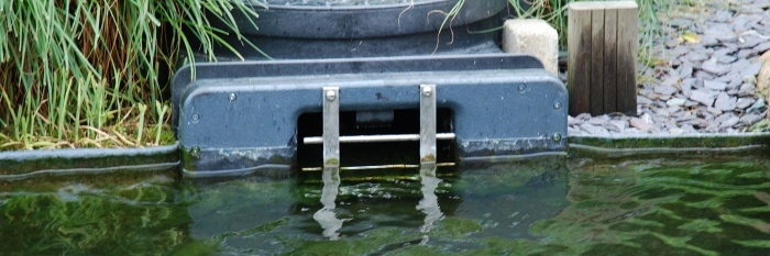 Savio skimmer