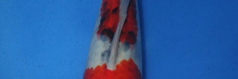 Showa Momotaro nr.16-34 cm