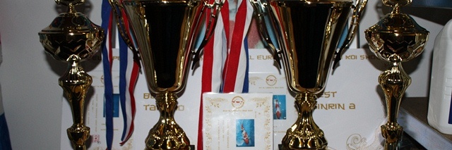 Slotdag Appeltern 2011