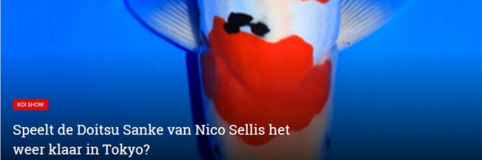 Speelt de Doitsu Sanke van Nico Sellis het weer klaar in Tokyo