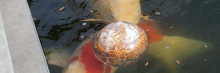 Spelen met de ballen