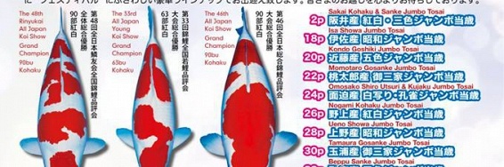 Super Jumbo Tosai Event