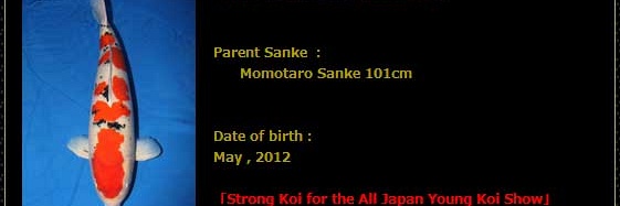 Tosai Momotaro veiling 19-20 februari