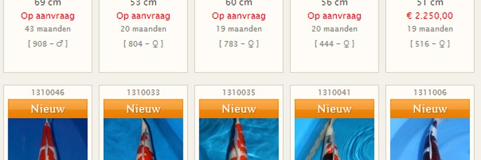 Van binnen naar buiten