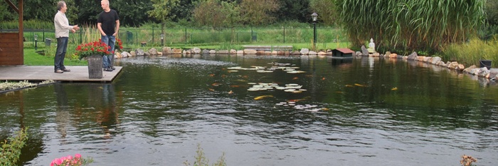 Verborgen dromen