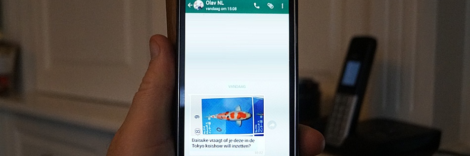 Verheugend nieuws uit Japan