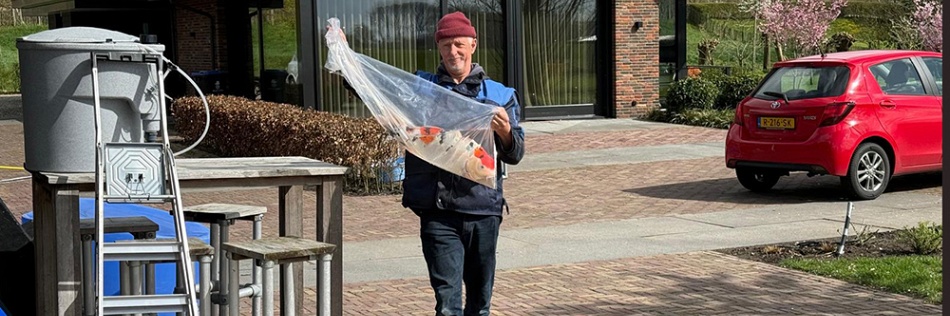 Voorbereiding voor het grote shipment
