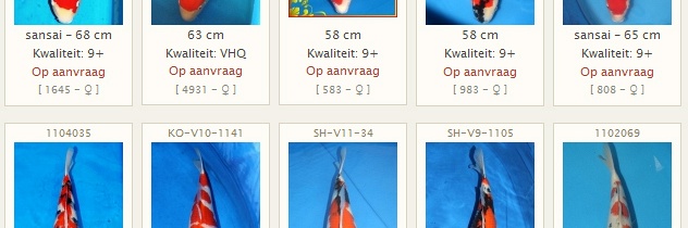Voorbereidingen Japanreis