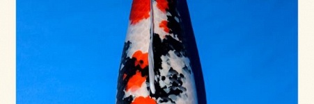 Wat is de miyabi prijs in Japan