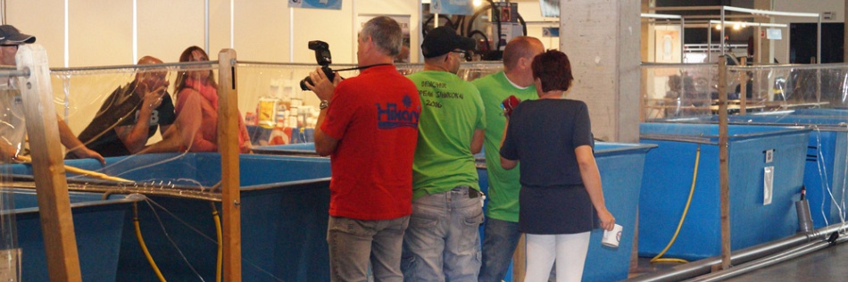 Watergala 2016, deel 1