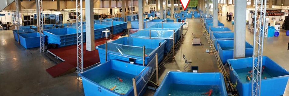 Watergala 2016, deel 2