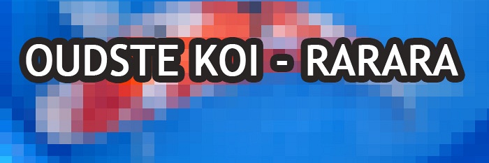 Welke koi is mijn oudste koi