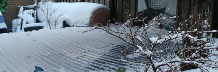 winter foto's