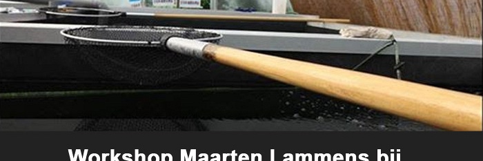 Workshop bij Unikoi
