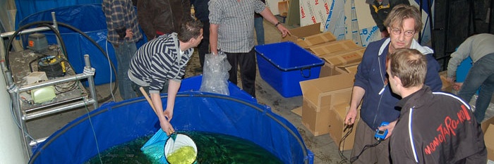 Workshop handling vijvers en koi