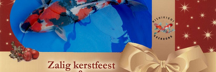 Zalig Kerstfeest en gelukkig Nieuwjaar