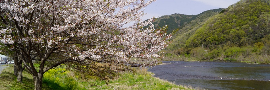 Zaterdag en zondag