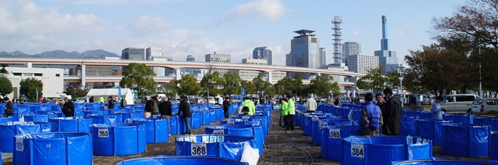 ZNA show Kobe 2012