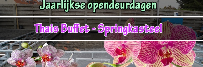 Zondag 29 november