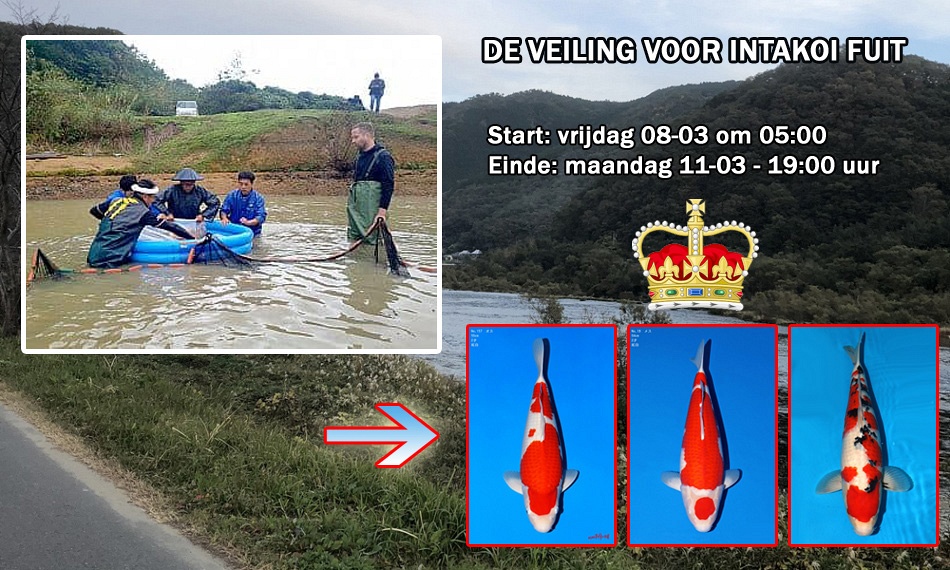 veiling van wiechert