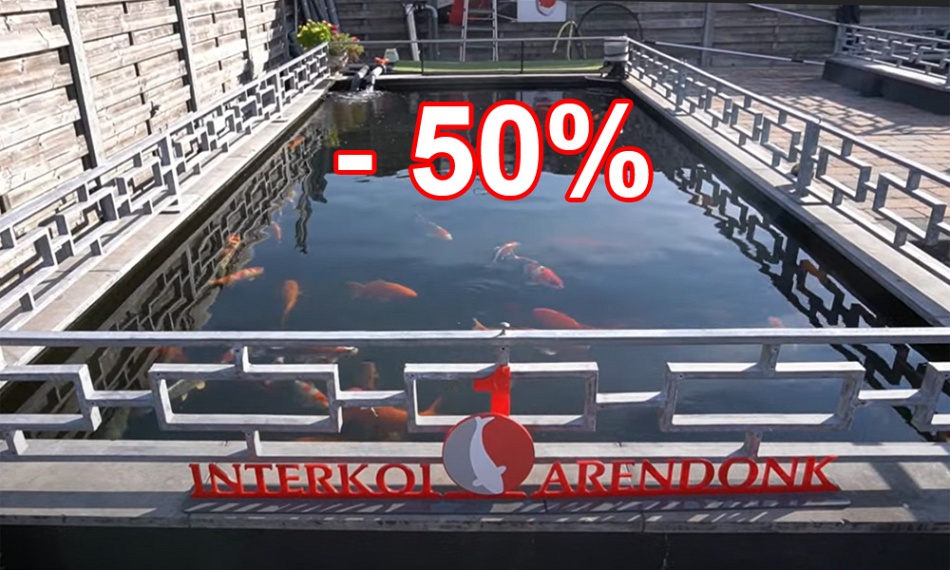 50% deal