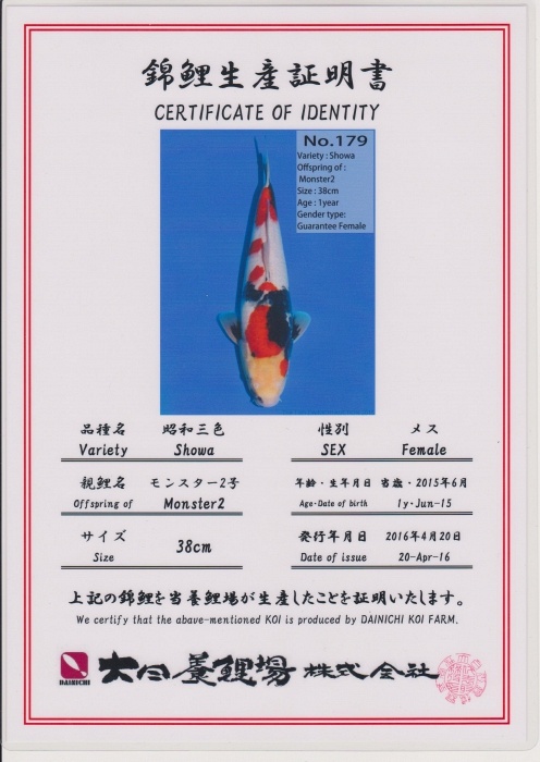 Showa van Dainichi