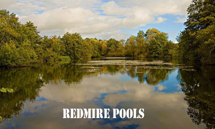 redmire pools