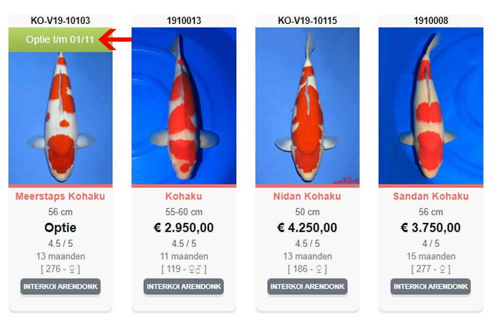 datum bij optie op koi.