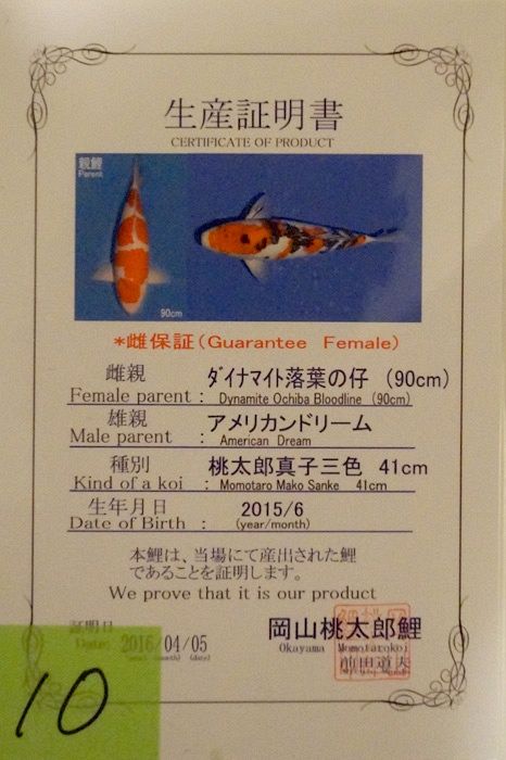 sanke van momotaro