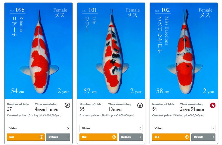 De 3 topkoi