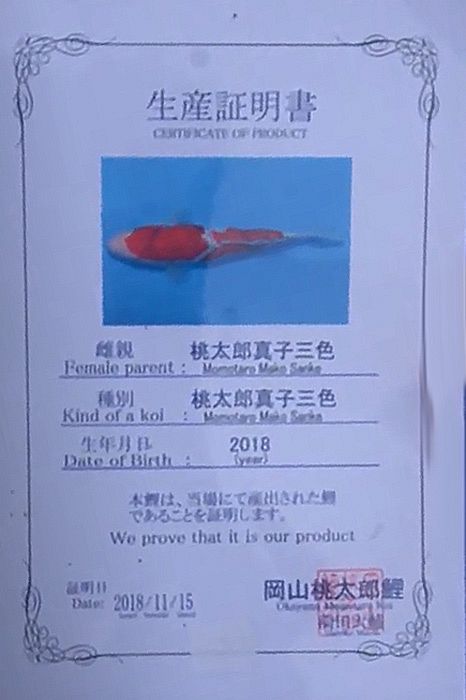 sanke certificaat