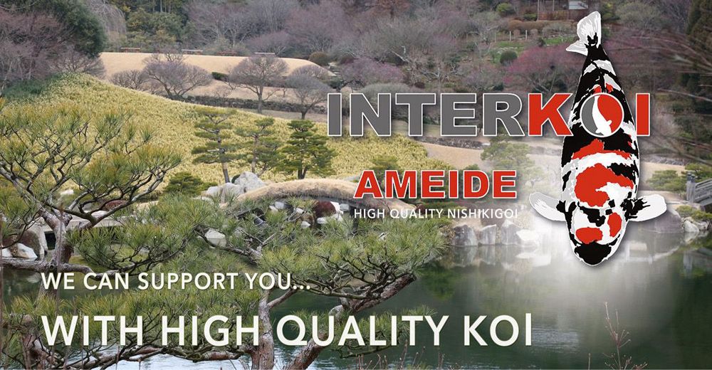 interkoi Ameide
