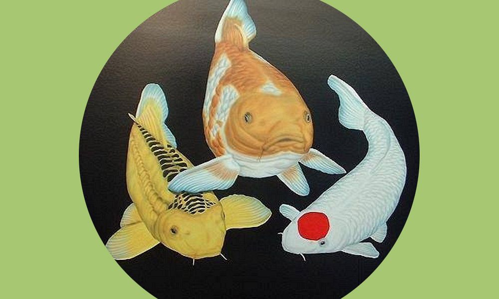 midori goi