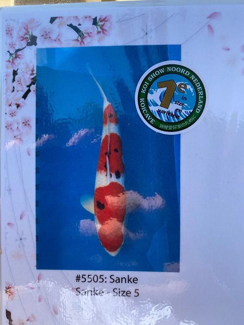 Sanke van Taniguchi