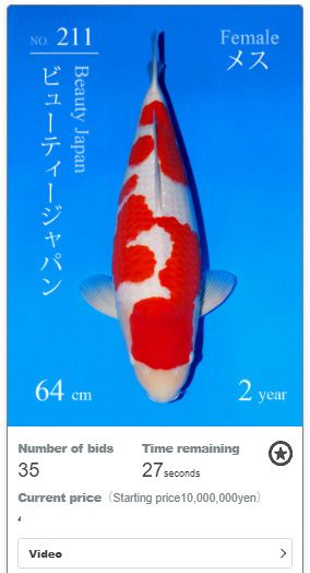 kohaku van sakai FF