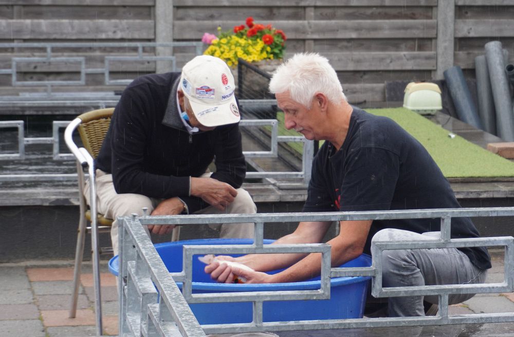 Jan, mijn vriend