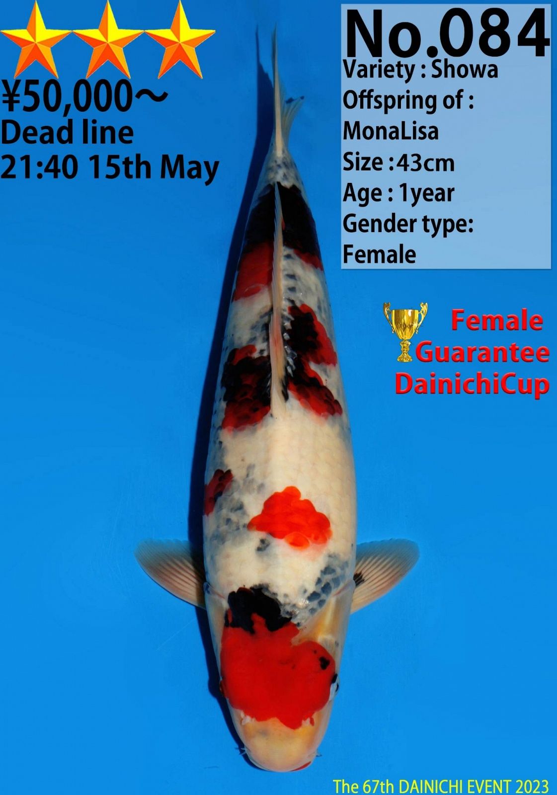 showa van dainichi