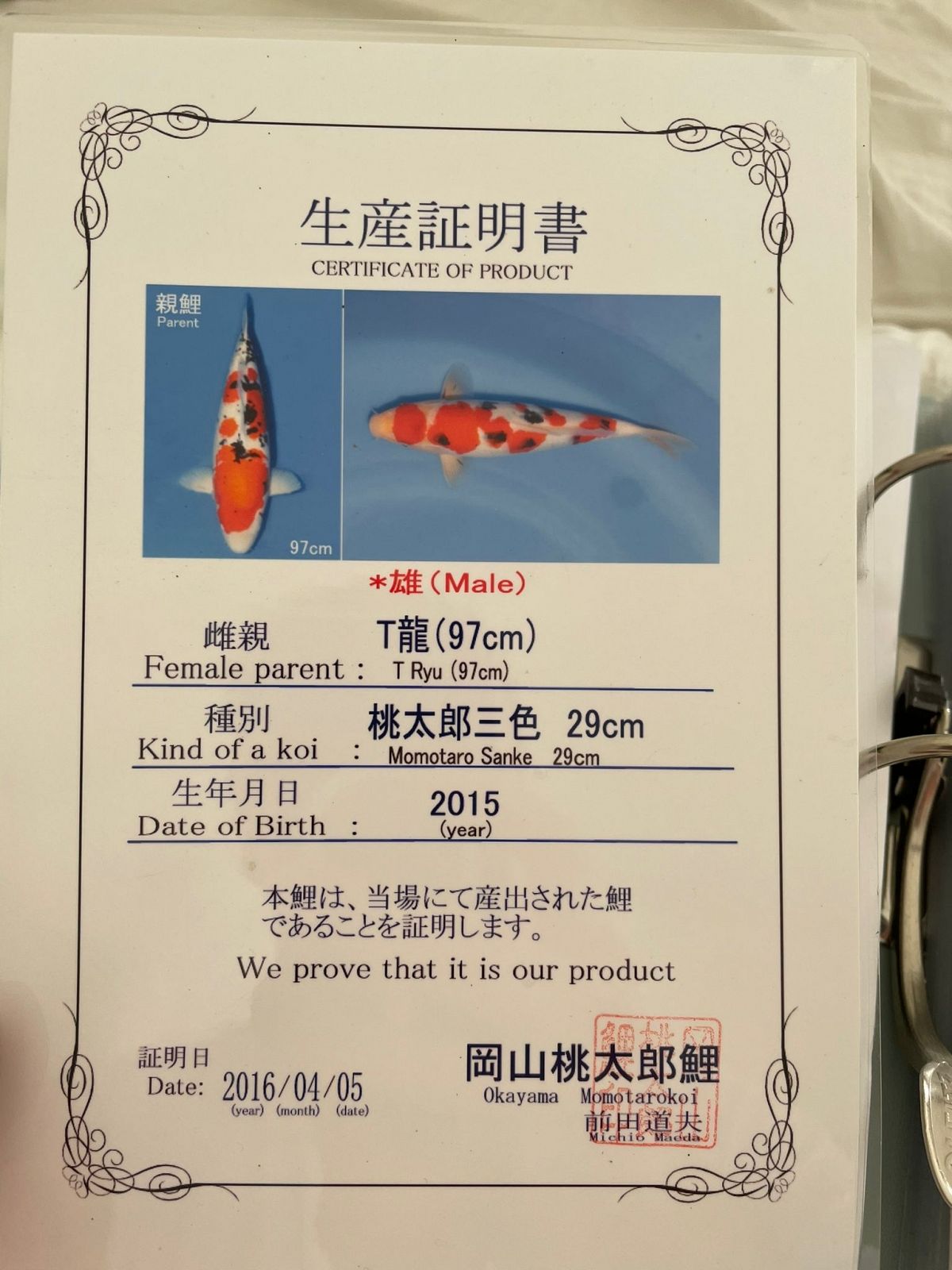 sanke van momotaro
