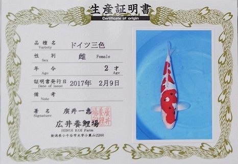 doitsu sanke van hiroi