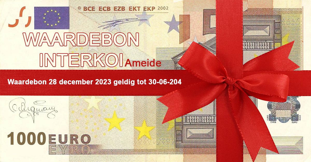 lot van 1000 euro