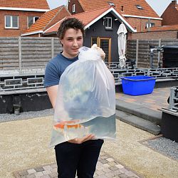 20 mei is voorbij: afbeelding 8