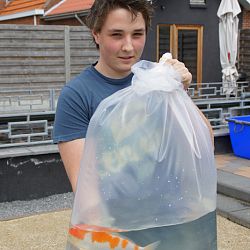 20 mei is voorbij: afbeelding 9