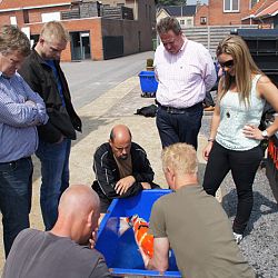 20 mei is voorbij: afbeelding 12