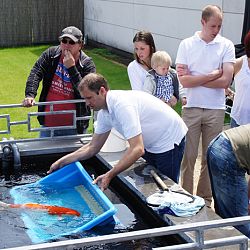 20 mei is voorbij: afbeelding 24