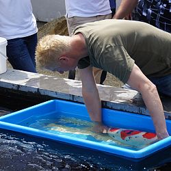 20 mei is voorbij: afbeelding 26