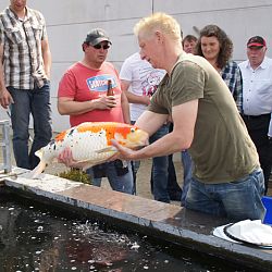 20 mei is voorbij: afbeelding 43