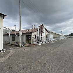 2de dag auction bij Sakai Fish Farm: afbeelding 6
