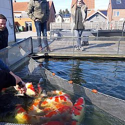 3 Grootheden gingen naar huis: afbeelding 2