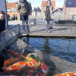 3 Grootheden gingen naar huis: afbeelding 1